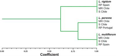 Accumulation of Target Gene Mutations Confers <mark class="highlighted">Multiple Resistance</mark> to ALS, ACCase, and EPSPS Inhibitors in Lolium Species in Chile